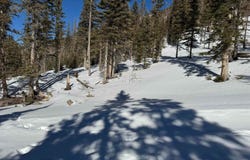 10 Blue Jay Ridge, Taos Ski Valley, NM 87525