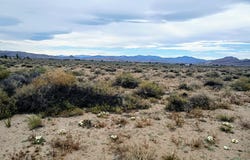 3970 E 6th Street, Silver Springs, NV 89429