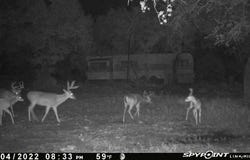 East Loop 254, Ranger, TX 76470
