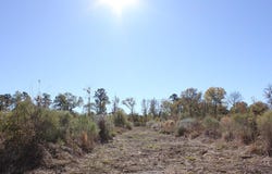 PID 25936 Moore Cemetery Road, Groveton, TX 75845