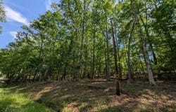 132 Cherokee Drive, Louisburg, NC 27549