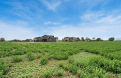 1634 Hauck Meadows Dr, Frederick, CO 80504
