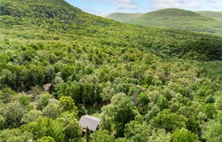 4459 NC 8650, Jasper, AR 72641
