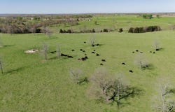 E 1000 Road, Stockton, MO 65785