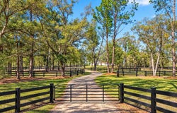 10427 NW 8TH Lane, OCALA, FL 34482