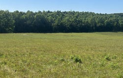 19 Ac Rockbridge School Road, Tompkinsville, KY 42167