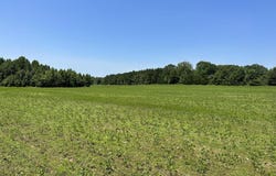 03 Springridge Road, Raymond, MS 39154