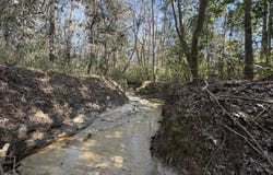 1 Taylor Mill Road, Elba, AL 36323
