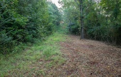 CR 354, Winona, TX 75792