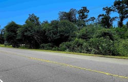 HWY 190, Holden, LA 70744