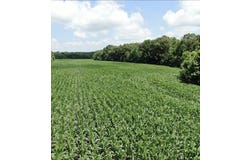 DORSE Rd, Unincorporated, TN 38057