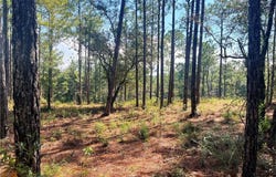 State Highway 225, Bay Minette, AL 36507