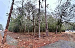 N Main St., Nichols, SC 29581