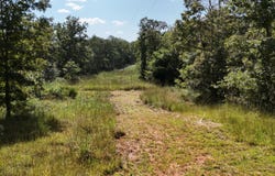 County Road 1990, Willow Springs, MO 65793