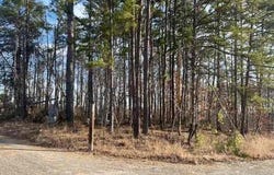 CR 1131, Booneville, MS 38829