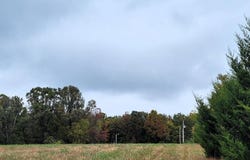 Hawknest Trail, Long Lane, MO 65590