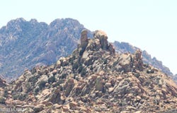 E Cochise Trail, St. David, AZ 85630