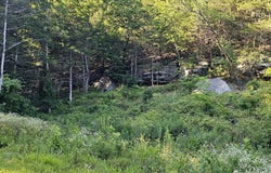 14727 State Highway 59, Noel, MO 64854