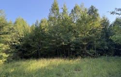 00-0 Tabscott Rd, Kents Store, VA 23084