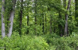 Terry Road, Cedar Grove, TN 38321