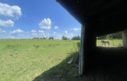 2066 Highway 131, Bakerhill, AL 36027