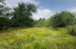 County Road 173 lot: 12, Marlin, TX 76661