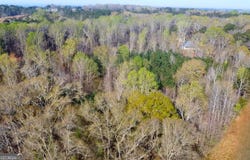 44 Aileron Lane, Williamson, GA 30292