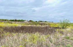 11604 Moore Rd, Austin, TX 78719