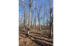 Woodchuck Trail, Cushing, MN 56443