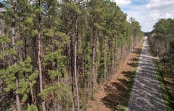 Tract C - TBD Pennyroyal Rd., Georgetown, SC 29440