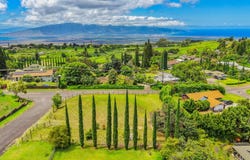 11 Akea Pl, Kula, HI 96790