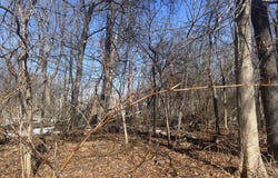 Marsden Street, Springfield, MA 01118