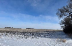 465th St - Parcel 1, Fairfax, MN 55332