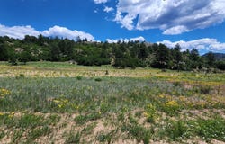 Big Bow Drive, Cotopaxi, CO 81223