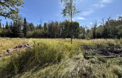 5618 E Simmons Rd, Hessel, MI 49745