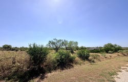 102 County Road 2665, Devine, TX 78016