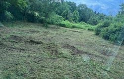 Bells Pond Road, Livingston, NY 12541