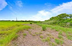 First St, Bayside, TX 78340