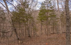 2537 Alpine Woods Drive, Innsbrook, MO 63390