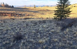 541 War Lane lot: 69, COMO, CO 80432