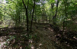 Tract 2-4 Simpson Rd, Urbana, MO 65767