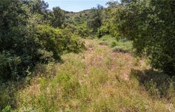 Danielle Lane, Trabuco Canyon, CA 92678