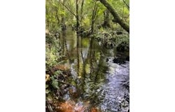 Tanner Williams Road, Lucedale, MS 39452