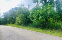 10 Jackson Street, Gainesville, AL 35464