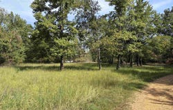 230 B AND K Way, Adamsville, TN 38310