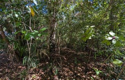 SW 191ST Avenue, DUNNELLON, FL 34432