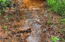 COUNTY ROAD 278, FIVE POINTS, AL 36855