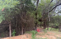 CR 2500, Eustace, TX 75124