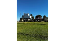 Oleander, Galveston, TX 77554
