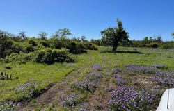 Sweet Wind Ln lot: 14, Harper, TX 78631